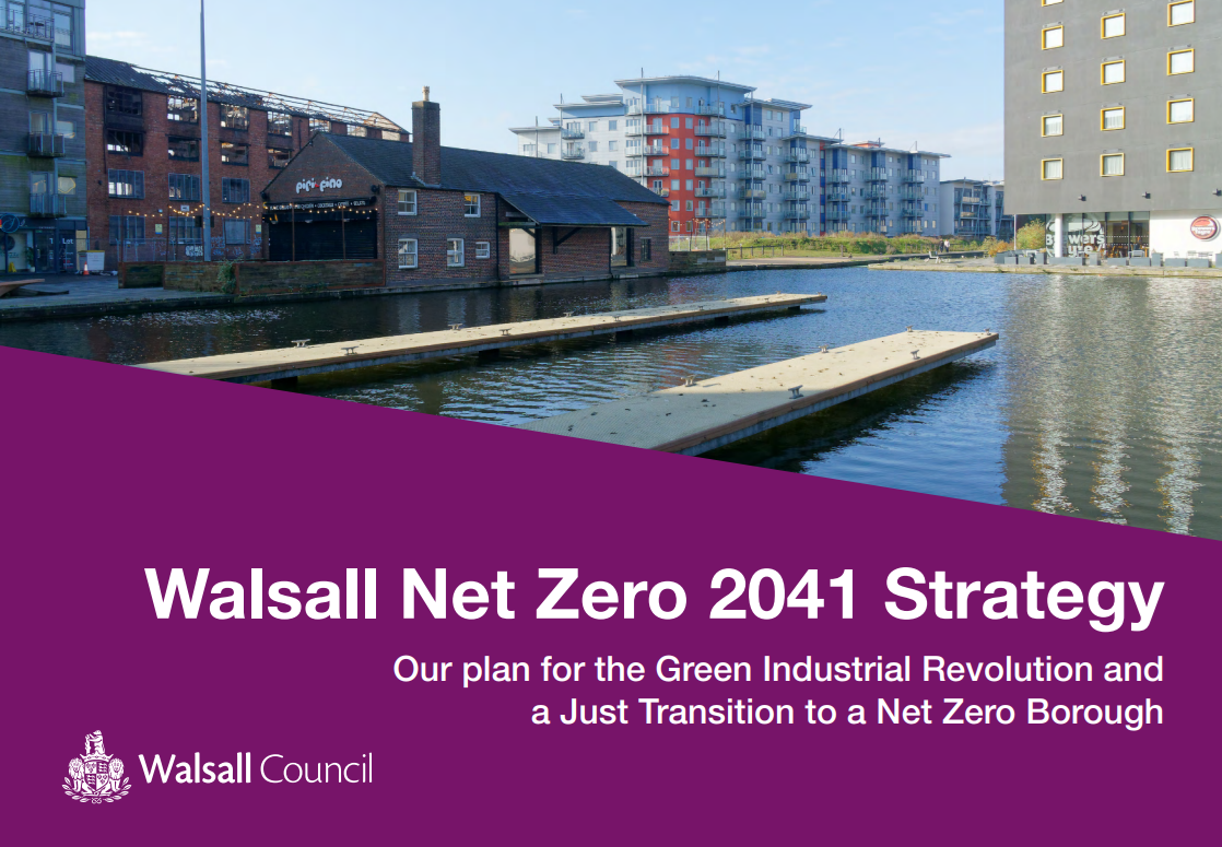 Net Zero Strategy Icon
